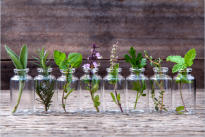 herbs in glass jars - condensed